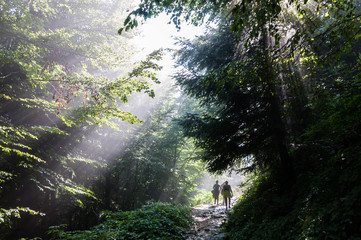 three people hicking on a rough path through a forrest with lightrays in the German alps region