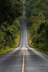 centered road leading symmetrical through a valley in the Thai jungle