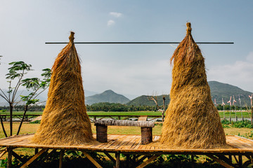 Hay, haystack, agriculture, cart. Rural landscape, farm village. Beautiful asian landscape © Максим Ірха