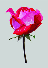 A rose is a woody perennial flowering plant of the genus Rosa, in the family Rosaceae, or the flower it bears. There are over three hundred species and thousands of cultivars. They form a group of pla