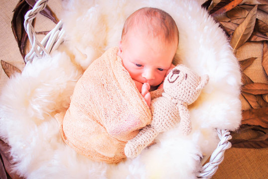 Bebe despierto en canasta banca y corderito con osito de peluche