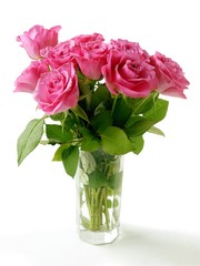 pink roses posy close up