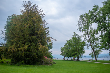 Beautiful scene of fresh green trees in public park beside river with cloudy sky for background ,...