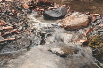 clean forest stream in spring, river flowing