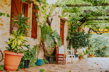 Fototapeta na wymiar Rural dry stone house in olive tree orchand in Europe