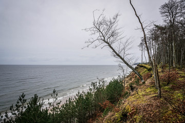 Wolinski National Park in Poland