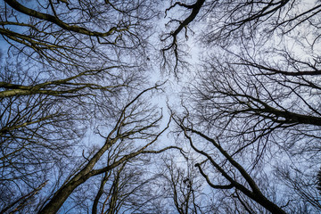 Wolinski National Park in Poland