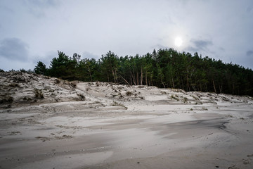 Wolinski National Park in Poland