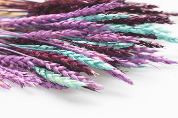 Flat lay composition of dried wild flowers