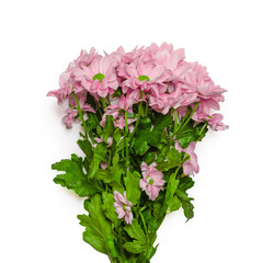 Lovely pink flower bouquet present isolated