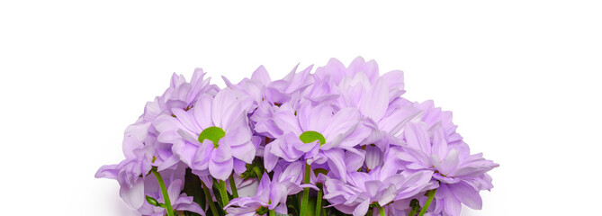Lovely purple flower bouquet present isolated