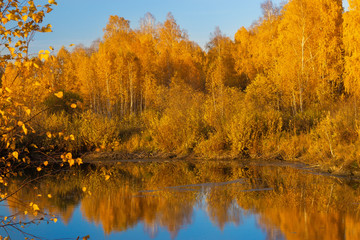 Amazing view of the colorful fall forest evening landscape with lake