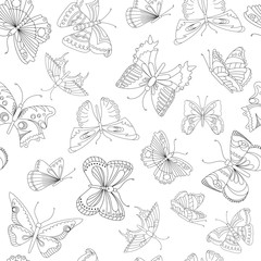 seamless pattern on a white variety of butterfly