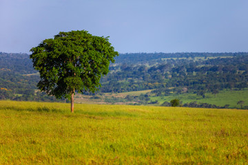 paisagem do campo na fazenda