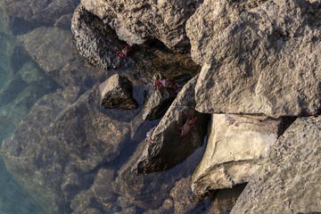 climber on a rock