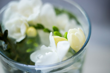 white freesia flowers in a glass