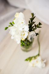 white freesia flowers in a glass
