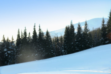 Fototapeta na wymiar Blurred view of snowy forest in winter