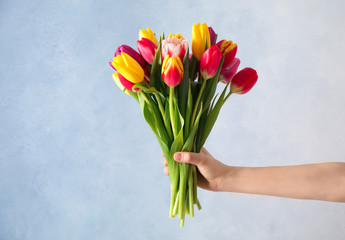 Woman holding beautiful spring tulips on light blue background, closeup
