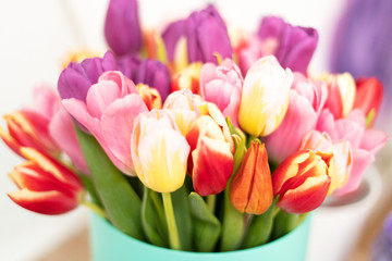 Flowers Floristics Bouquet of colorful tulips. Close up.