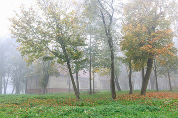 Misty morning in the park. Old, abandoned house among trees.