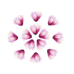 magnolia flower pattern drawing in alcohol markers