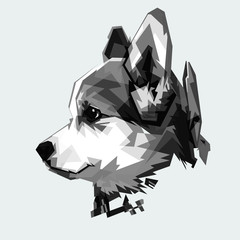 I love my dog. Black and white style.