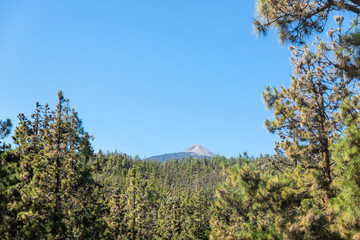 landscape in the mountains