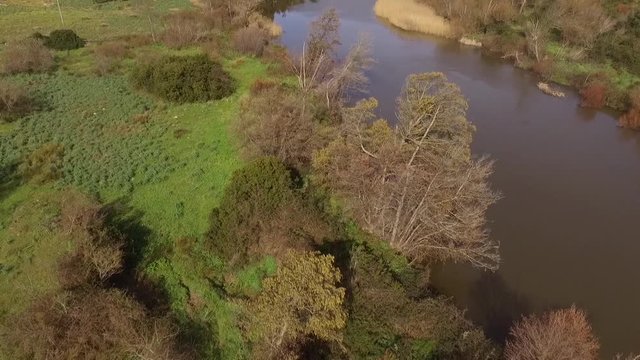 aerial view of the overflight of the lake and coghinas river in sardinia wrapped in trees and agricultural fields with the drone