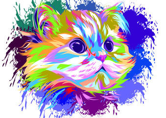 Colorful cute cat