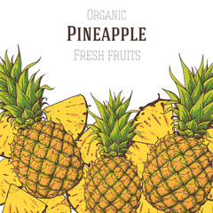 Pineapple hand drawn illustration. Vintage illustration. Packaging design template. Juicy pineapple