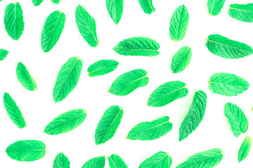 Green spearmint leaves.
