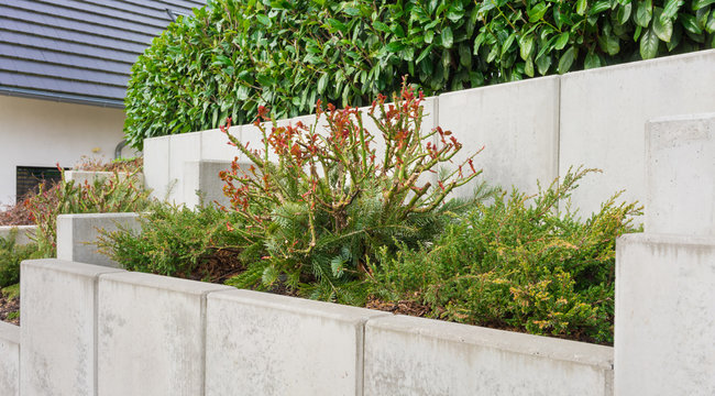 Moderne Mauer aus Beton im Garten	