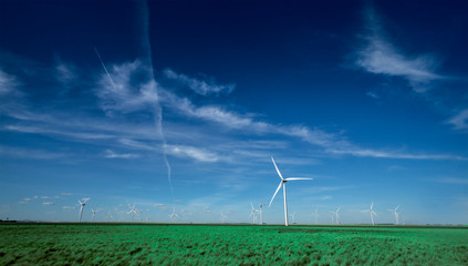 Molino eolico, energia renovable, verde campo © Leo