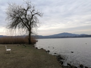 Romantic and peaceful scene. Empty bench on the lake