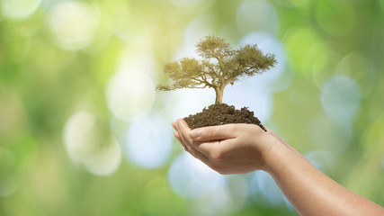 Clean energy, care of the environment. Healthy environment