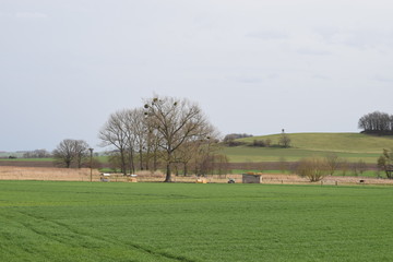 Thür und Thürer Wiesen