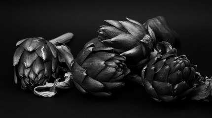 Obraz premium Bianco e nero carciofo