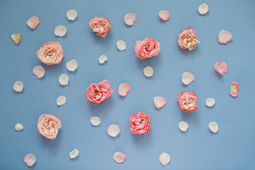 Pattern of pink roses and petals on a blue background.