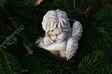 A white statue of a resting angel surrounded by ivy on a tomb of a cemetery in Berlin-Germany.