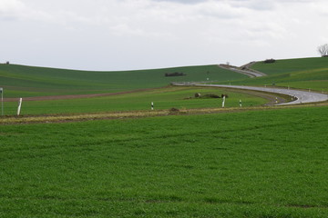 Sumpflandschaft in den Thürer Wiesen