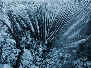 drawing of santa claus on the glass