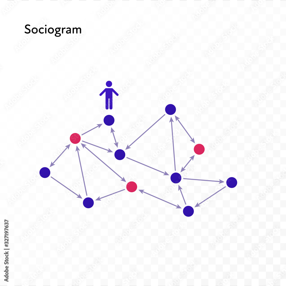Poster infographic design element collection. vector flat color illustration. sociogram network diagram iso