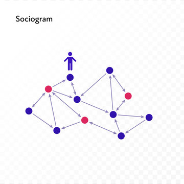 Infographic design element collection. Vector flat color illustration. Sociogram network diagram isolated on white to transparent background. Design for ui, scientific poster, marketing, presentation.