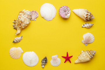 Summer time concept with sea shells and starfish on yellow background, copy space. Flat lay, top view