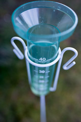 Plastic rain gauge in field
