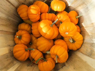 Mini pumpkins stacked in a basket