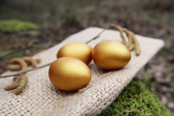 Golden eggs lie on a napkin in the forest. Happy easter concept.