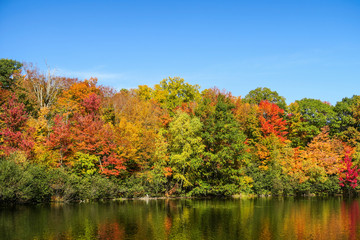 Colorful and autumnal trees reflecting in the water, at the St Bruno national park, Qu&eacute;bec