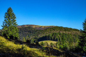 Belchen_Schwarzwald_1152